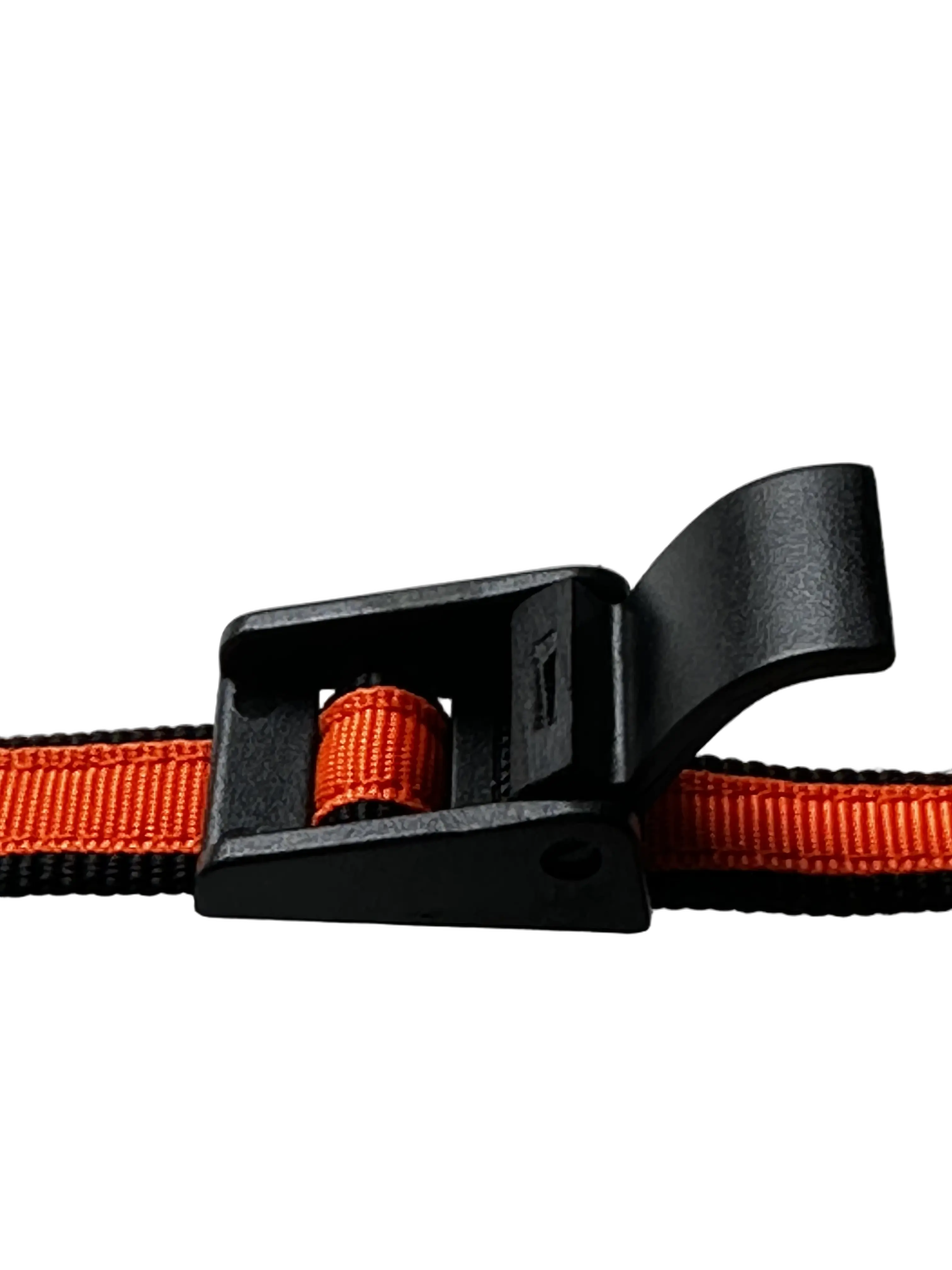 Buckle_02.webp