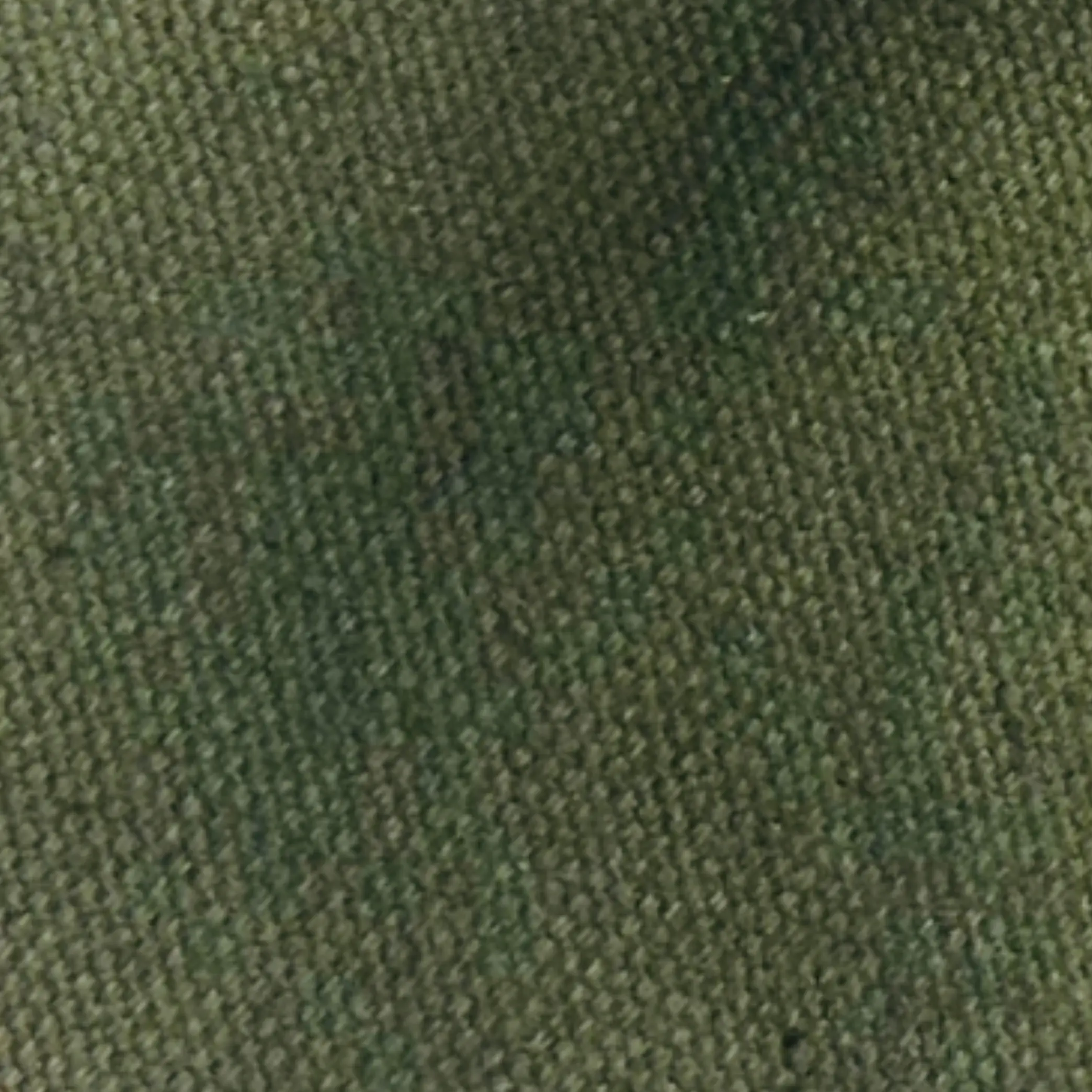 Olive Green Canvas